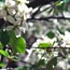Spring 08 - I