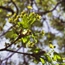Spring 08 - II