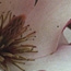 Spring 08 - III