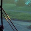 Morning Bus
