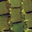 Brick Road