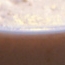 Optimator
