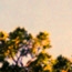 Sunset, Ann Arbor, MI